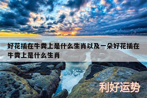好花插在牛粪上是什么生肖以及一朵好花插在牛粪上是什么生肖