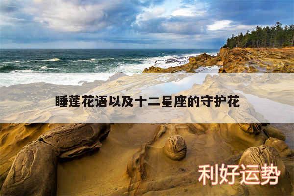睡莲花语以及十二星座的守护花