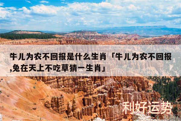 牛儿为农不回报是什么生肖及牛儿为农不回报,兔在天上不吃草猜一生肖