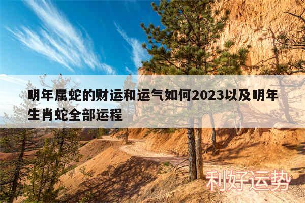 明年属蛇的财运和运气如何2024以及明年生肖蛇全部运程