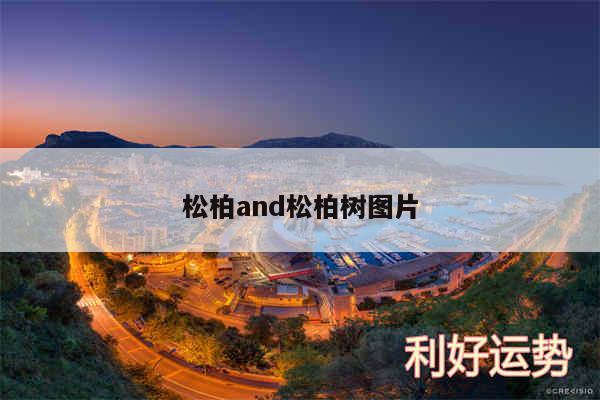 松柏and松柏树图片