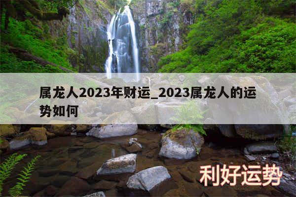 属龙人2024年财运_2024属龙人的运势如何