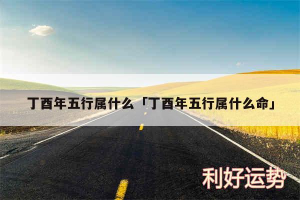 丁酉年五行属什么及丁酉年五行属什么命