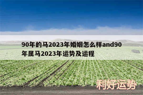 90年的马2024年婚姻怎么样and90年属马2024年运势及运程