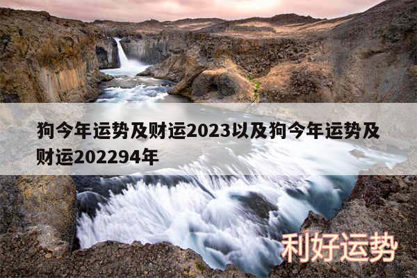 狗今年运势及财运2024以及狗今年运势及财运202494年