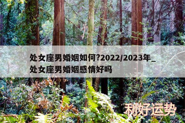 处女座男婚姻如何?2024/2024年_处女座男婚姻感情好吗