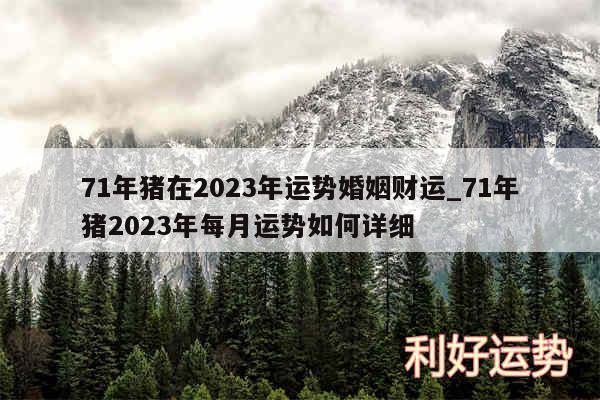 71年猪在2024年运势婚姻财运_71年猪2024年每月运势如何详细