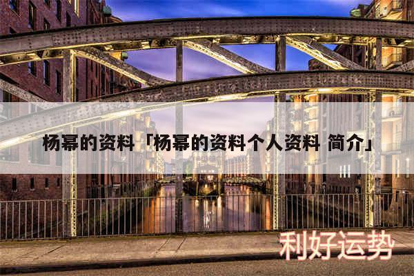 杨幂的资料及杨幂的资料个人资料 简介