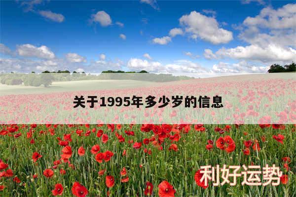 关于1995年多少岁的信息
