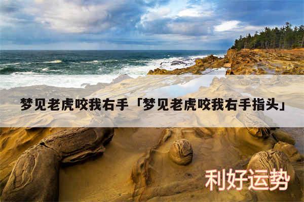 梦见老虎咬我右手及梦见老虎咬我右手指头