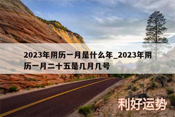 2024年阴历一月是什么年_2024年阴历一月二十五是几月几号