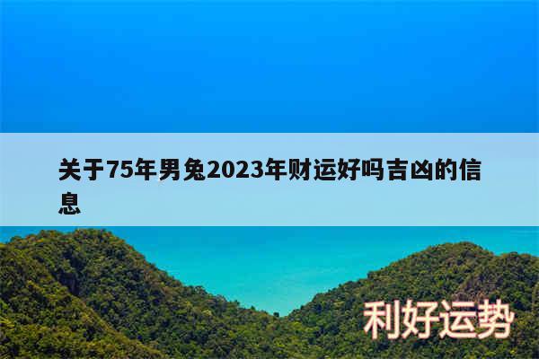 关于75年男兔2024年财运好吗吉凶的信息