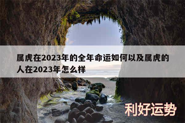 属虎在2024年的全年命运如何以及属虎的人在2024年怎么样