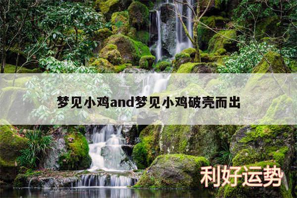 梦见小鸡and梦见小鸡破壳而出