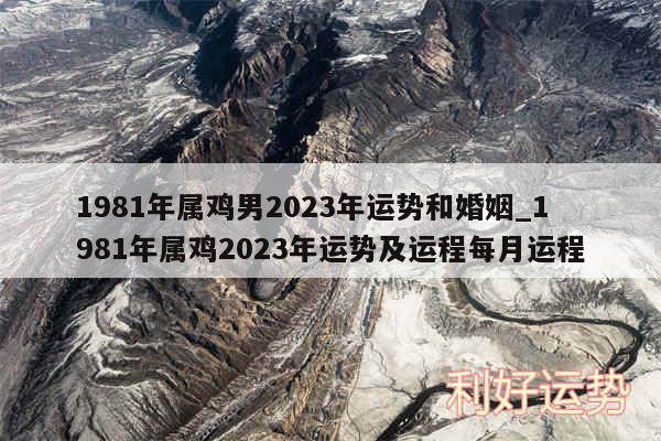 1981年属鸡男2024年运势和婚姻_1981年属鸡2024年运势及运程每月运程
