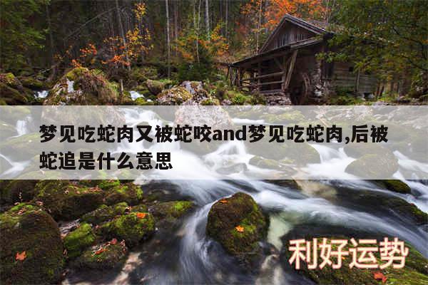 梦见吃蛇肉又被蛇咬and梦见吃蛇肉,后被蛇追是什么意思