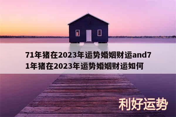 71年猪在2024年运势婚姻财运and71年猪在2024年运势婚姻财运如何