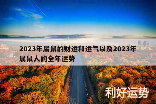 2024年属鼠的财运和运气以及2024年属鼠人的全年运势