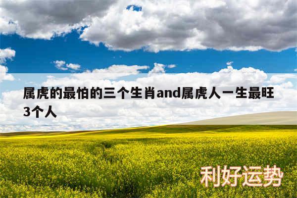 属虎的最怕的三个生肖and属虎人一生最旺3个人