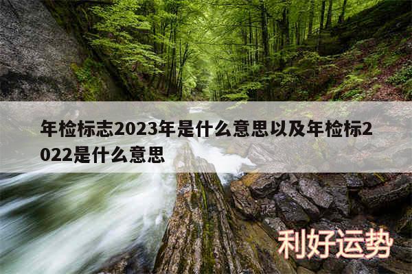 年检标志2024年是什么意思以及年检标2024是什么意思