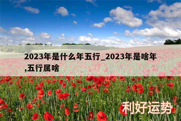 2024年是什么年五行_2024年是啥年,五行属啥