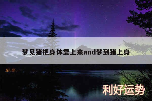 梦见猪把身体靠上来and梦到猪上身