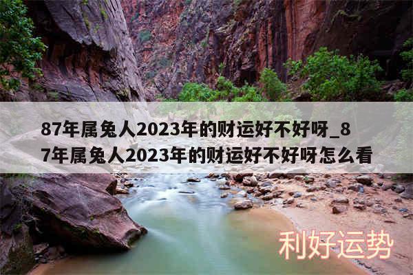 87年属兔人2024年的财运好不好呀_87年属兔人2024年的财运好不好呀怎么看