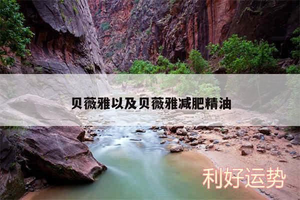 贝薇雅以及贝薇雅减肥精油