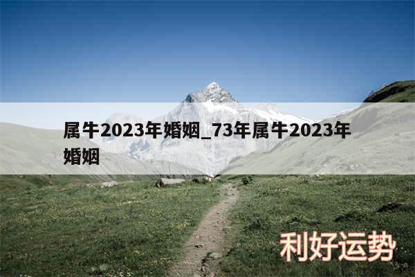 属牛2024年婚姻_73年属牛2024年婚姻