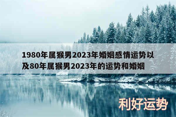 1980年属猴男2024年婚姻感情运势以及80年属猴男2024年的运势和婚姻