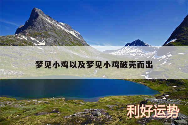 梦见小鸡以及梦见小鸡破壳而出