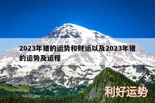 2024年猪的运势和财运以及2024年猪的运势及运程