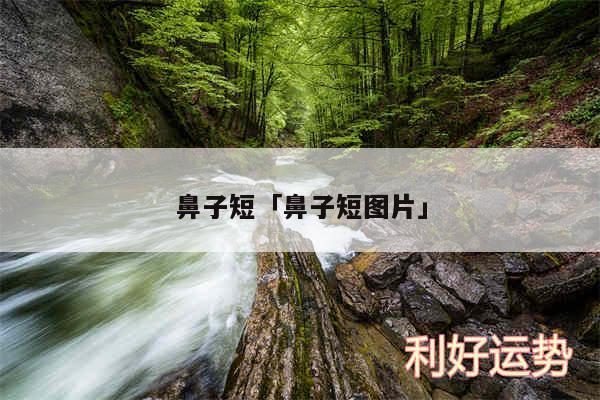 鼻子短及鼻子短图片