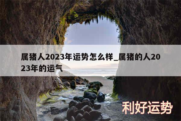 属猪人2024年运势怎么样_属猪的人2024年的运气