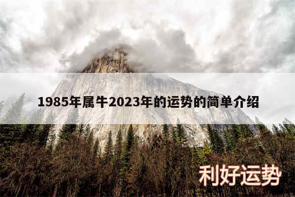 1985年属牛2024年的运势的简单介绍