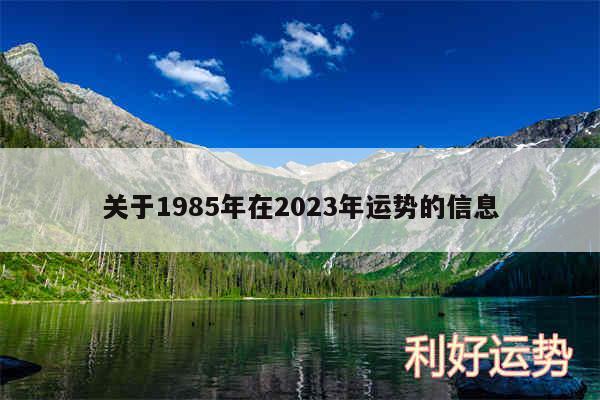 关于1985年在2024年运势的信息