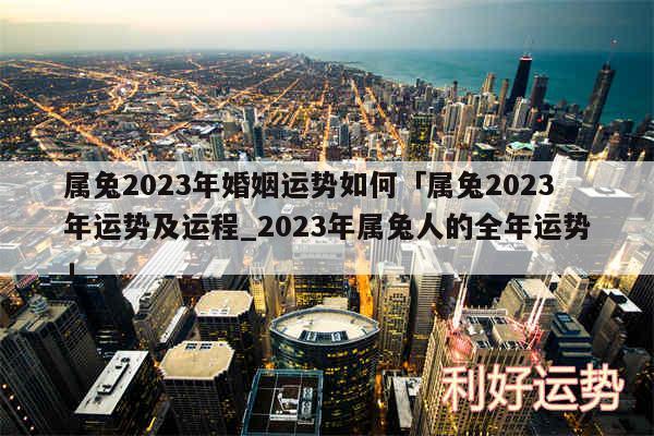 属兔2024年婚姻运势如何及属兔2024年运势及运程_2024年属兔人的全年运势