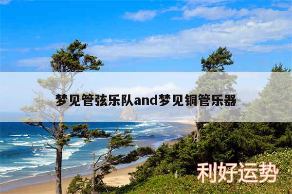 梦见管弦乐队and梦见铜管乐器