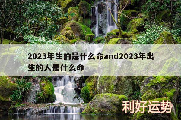 2024年生的是什么命and2024年出生的人是什么命