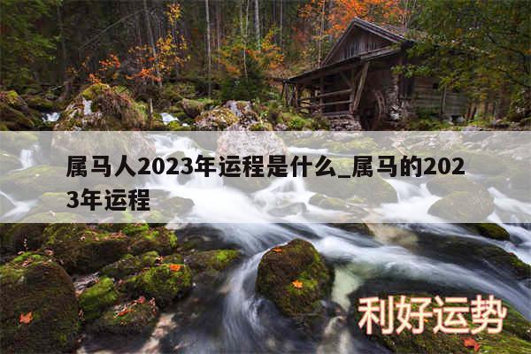 属马人2024年运程是什么_属马的2024年运程