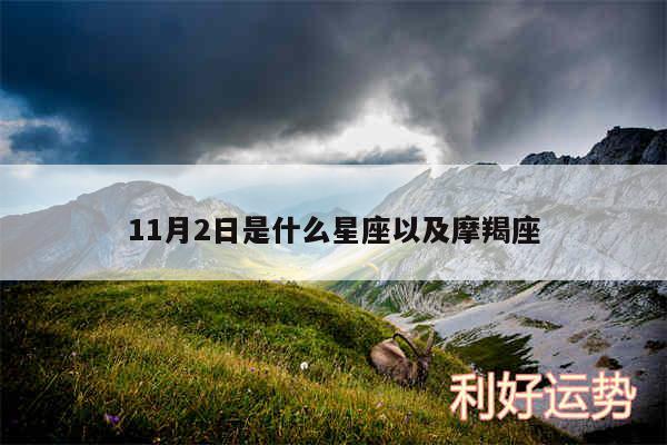 11月2日是什么星座以及摩羯座