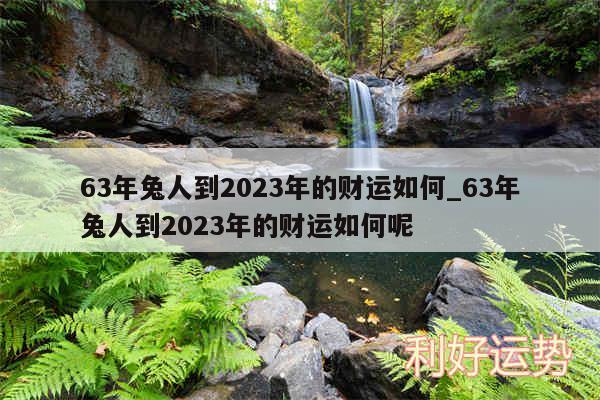 63年兔人到2024年的财运如何_63年兔人到2024年的财运如何呢