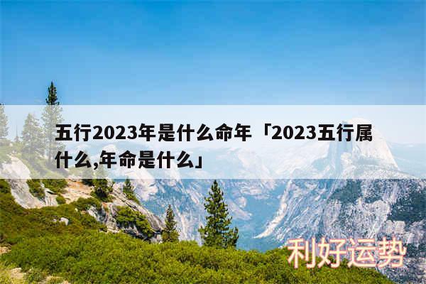 五行2024年是什么命年及2024五行属什么,年命是什么