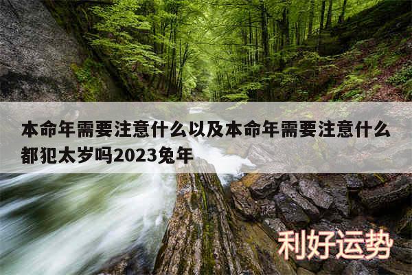 本命年需要注意什么以及本命年需要注意什么都犯太岁吗2024兔年