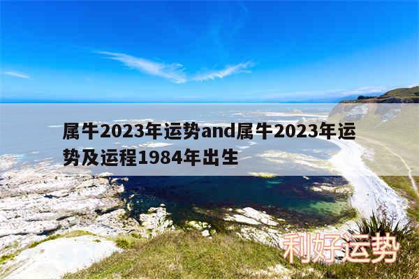 属牛2024年运势and属牛2024年运势及运程1984年出生