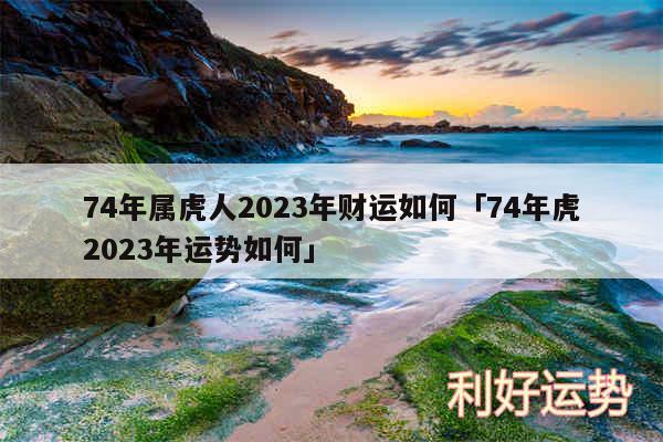 74年属虎人2024年财运如何及74年虎2024年运势如何