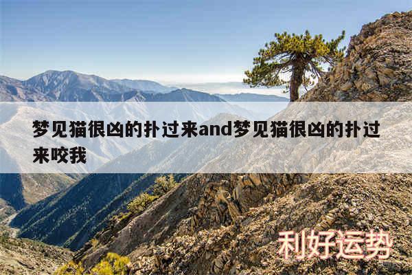 梦见猫很凶的扑过来and梦见猫很凶的扑过来咬我