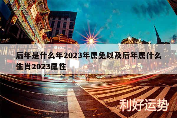 后年是什么年2024年属兔以及后年属什么生肖2024属性