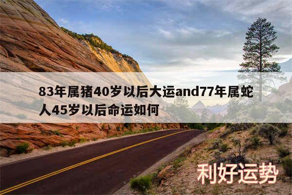 83年属猪40岁以后大运and77年属蛇人45岁以后命运如何