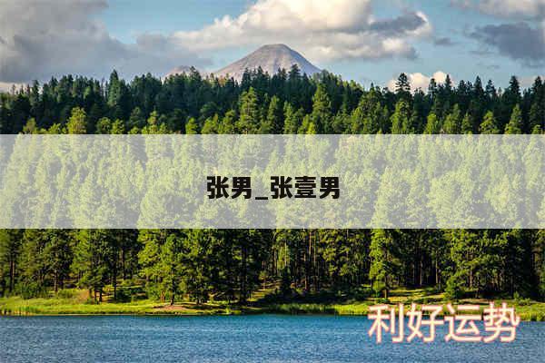 张男_张壹男